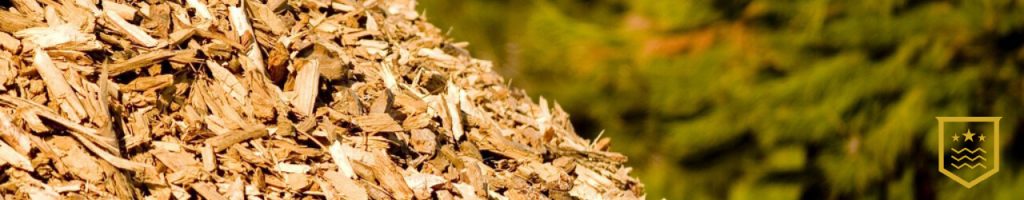 Pequeno histórico da biomassa como fonte energética