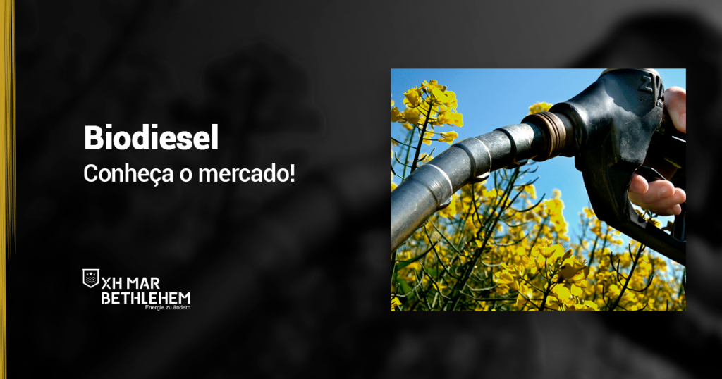 Conheca-sobre-o-mercado-do-biodiesel-e-suas-perspectivas