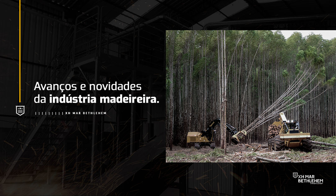 Avanços e novidades da indústria madeireira
