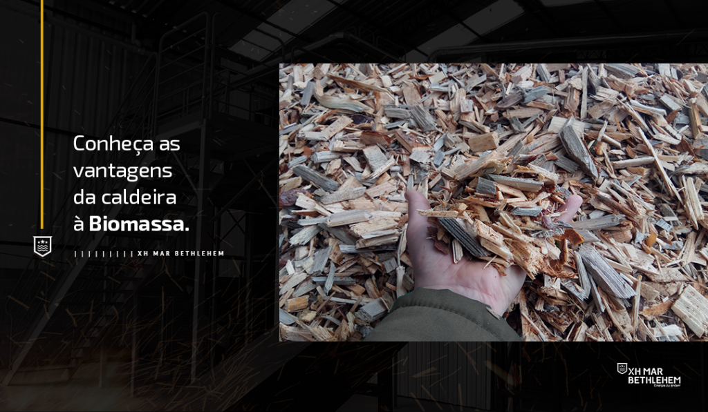 Conheça as vantagens da caldeira à Biomassa